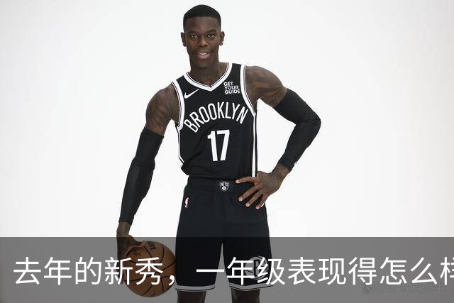 去年的新秀，一年级表现得怎么样呢【上】