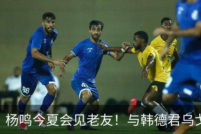 杨鸣今夏会见老友！与韩德君乌戈聚餐超开心，搭档哈德森参加活动