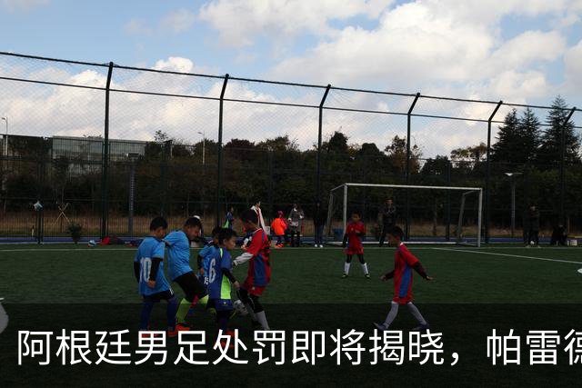 阿根廷男足处罚即将揭晓，帕雷德斯面临严厉惩罚
